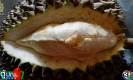 a4