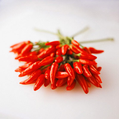 พริกขี้หนู พริกขี้หนู