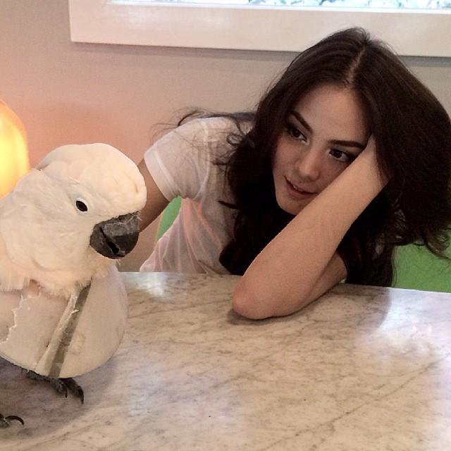 คลิกชมภาพต่อไป คลิกชมภาพต่อไป