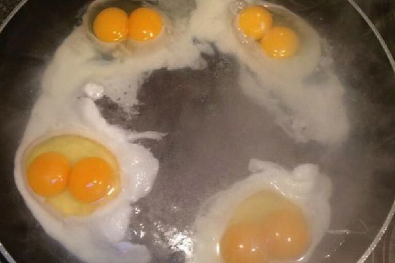 1 ในพันล้าน..เจอไข่ไก่แฝด 4 !!!