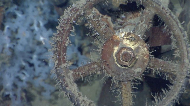 เรือรบญี่ปุ่น