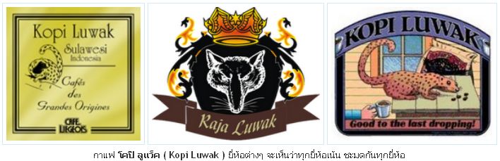 กาแฟแพงที่สุดในโลก
