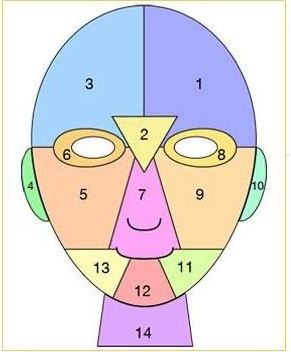 ตำแหน่งสิวบนใบหน้า