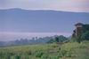 ผืนป่าเขาใหญ่ได้รับการประกาศให้เป็น-อุทยานแห่งชาติเขาใหญ่