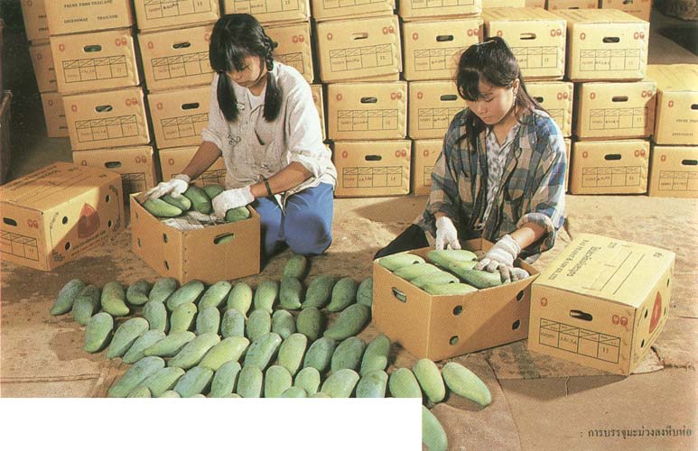 ระบบตลาดสินค้าเกษตร