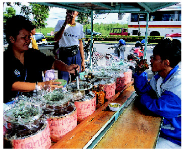 พฤติกรรมการบริโภคแอลกอฮอล์ของคนไทย