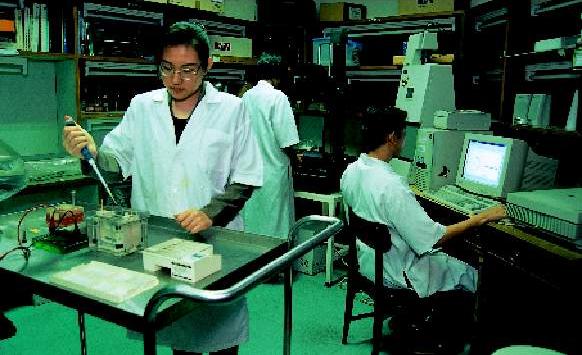 โครงข่ายประสาทเทียม