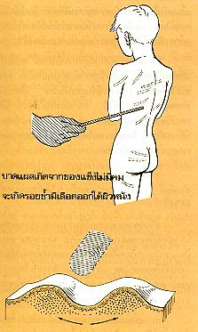 งานนิติเวชศาสตร์ในปัจจุบัน
