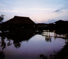 การพัฒนาชนบท