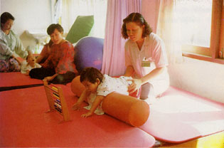 บุคลากรที่เกี่ยวข้องกับการฟื้นฟูสมรรถภาพเยาวชนผู้พิการ