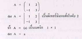 ดีเทอร์มิแนนต์