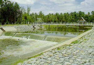 การดำเนินงานสนองพระราชดำริ