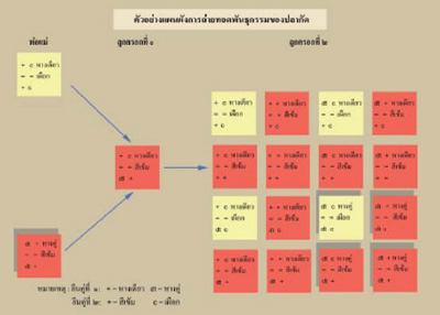 การพัฒนาสายพันธุ์ปลากัด