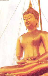 วันขึ้นปีใหม่