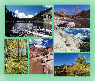 การอนุรักษ์ความหลากหลายทางชีวภาพ (Biological Diversity)