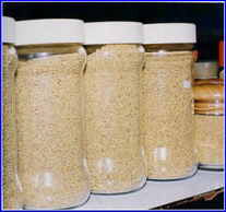 เกสรผึ้ง (Bee Pollen)