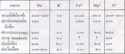 อวัยวะขับถ่ายของสัตว์