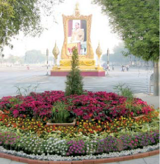 ไม้ดอกไม้ประดับ