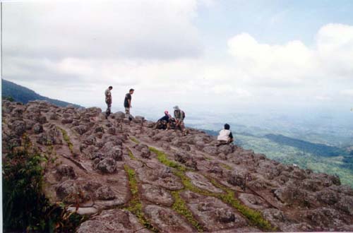 อุทยานแห่งชาติภูหินร่องกล้า