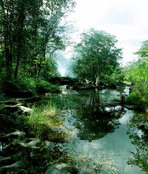 อุทยานแห่งชาติภูจองนายอย