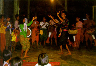 การละเล่นประเภทเพลงพื้นเมือง