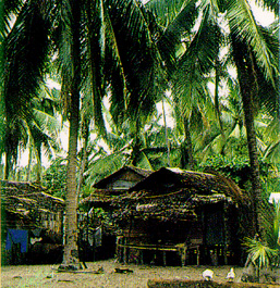 เรือนพื้นบ้านชาวประมง (ฝั่งทะเลตะวันตก)