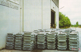โรคพิษตะกั่ว (Lead Poisoning)
