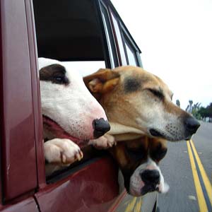 Safe and sound