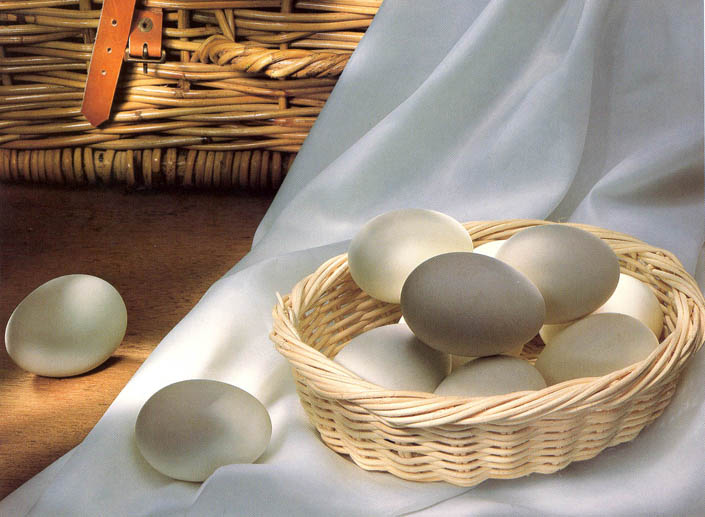 การถ่ายภาพหุ่นนิ่ง (Still life)