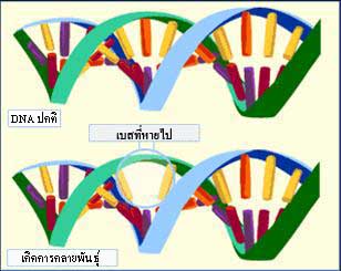 การกลายพันธุ์