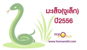 ปีชง 2556 ปีชง56 แก้ชง 2556 แก้ชงปีมะเส็ง แก้ชงปี2556