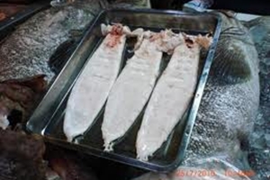 กระเพาะปลามาจากไหน