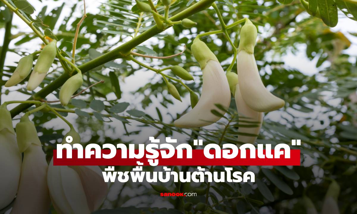 ทำความรู้จัก \