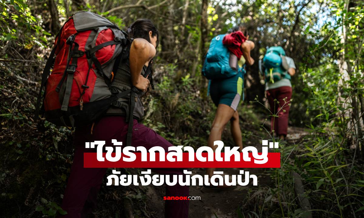 ภัยเงียบนักเดินป่า ระวัง \