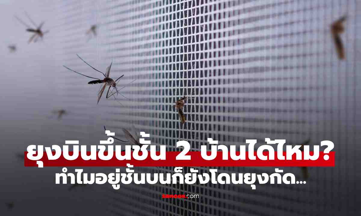 ยุงบินขึ้นชั้น 2 ของบ้านได้ไหม? รู้คำตอบแล้วจะเข้าใจ ทำไมอยู่ชั้นบนก็ยังโดนยุงกัด