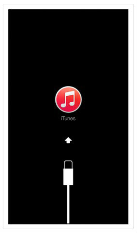 itunes_connect_diagram