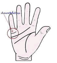 เส้นแต่งงาน, ลายมือ, ดูลายมือ