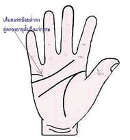 เส้นแต่งงาน, ลายมือ, ดูลายมือ