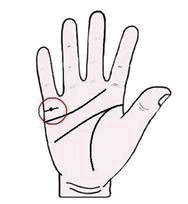เส้นแต่งงาน, ลายมือ, ดูลายมือ