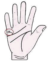 เส้นแต่งงาน, ลายมือ, ดูลายมือ