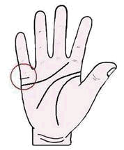 เส้นแต่งงาน, ลายมือ, ดูลายมือ