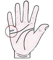 เส้นแต่งงาน, ลายมือ, ดูลายมือ