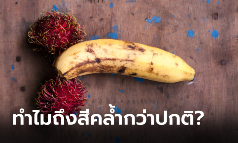 ไขคำตอบ! ทำไม \