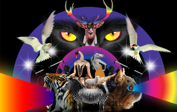 Get the Party: Animalight