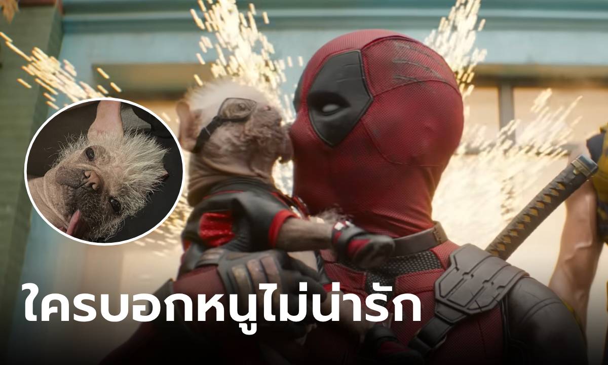 “เพ็กกี้” น้องหมาที่น่าเกลียดที่สุดในอังกฤษ สู่เส้นทางซุป’ตาร์ ขวัญใจแฟน Deadpool