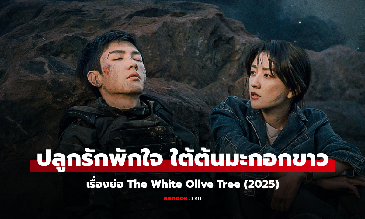 เรื่องย่อ ปลูกรักพักใจ ใต้ต้นมะกอกขาว The White Olive Tree (2025) ซีรีส์จีนโรแมนติกดราม่า-ทหาร