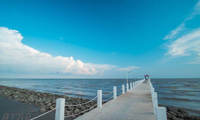 แสงสุดท้ายแห่งบางปู พาไปดูนกนางนวล @ คลองตาก๊ก สมุทรปราการ