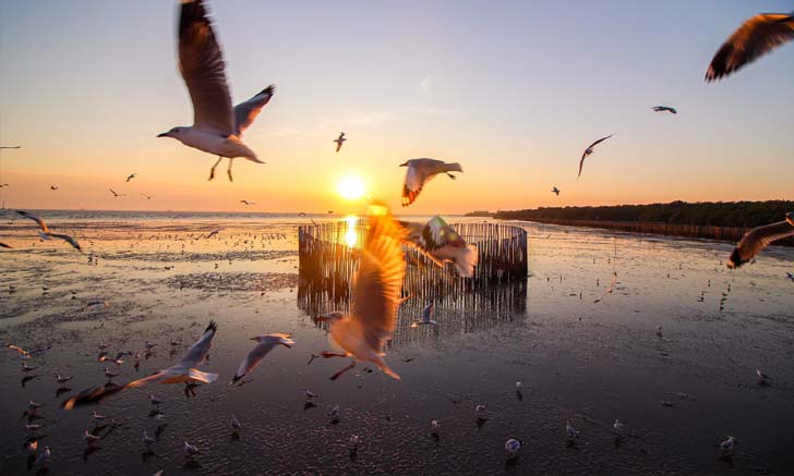 บางปูเปิดแล้ว! ไปพักผ่อนออกกำลังกายกันได้ตั้งแต่วันนี้