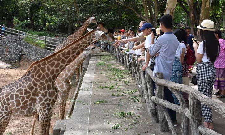 เข้าฟรี! สวนสัตว์ 6 แห่งทั่วเมืองไทย