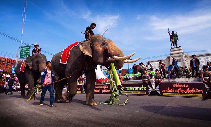 ชวนเที่ยวงาน มหัศจรรย์งานแสดงช้างสุรินทร์ ประจำปี 2563